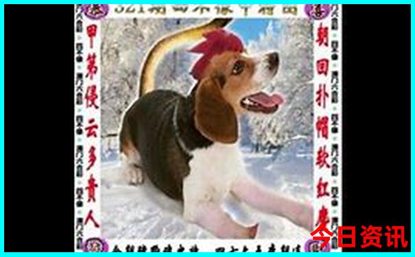 厦门云水谣土楼一日游报团